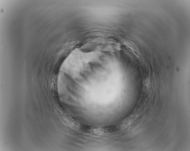 X0000087310423200705041654