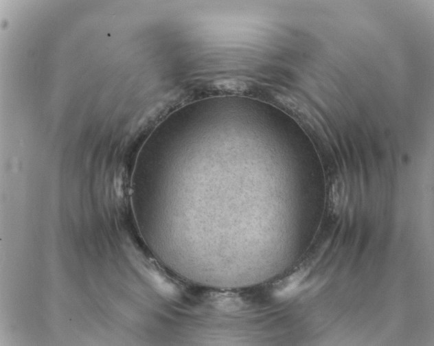 X0000087310424200705041654