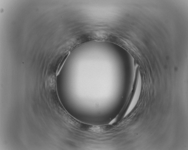 X0000087310425200705041654