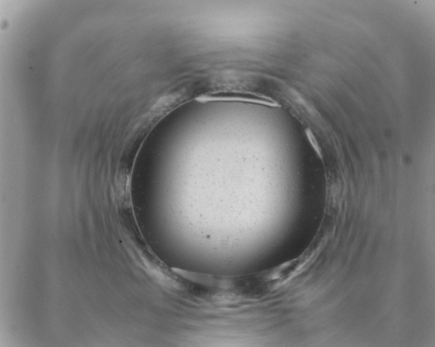 X0000087310429200705041654