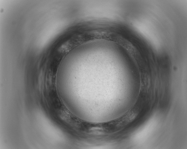 X0000087310430200705041654