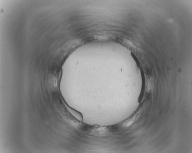 X0000087310431200705041654