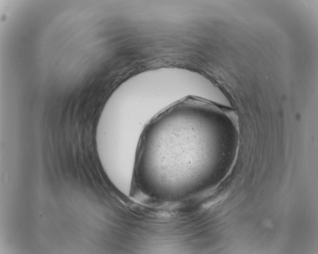 X0000087310432200705041654