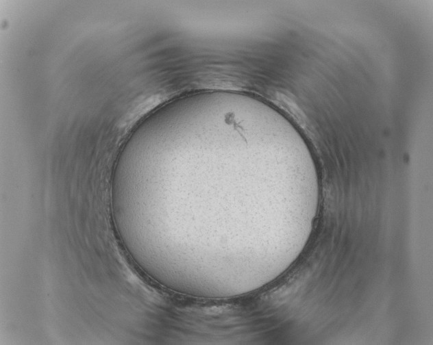 X0000087310433200705041653