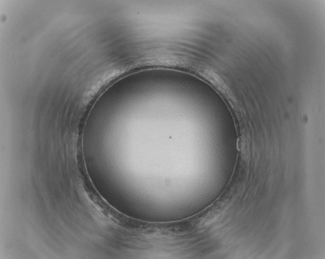 X0000087310434200705041653