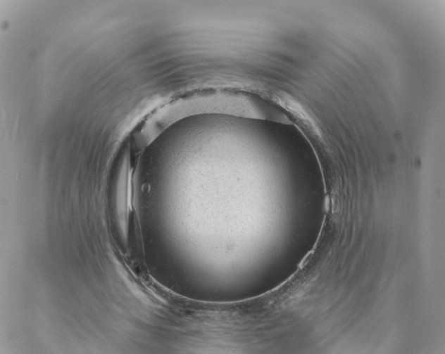 X0000087310436200705041653