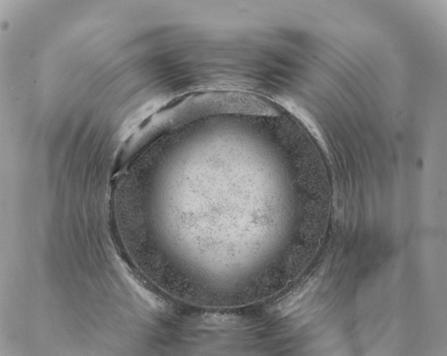 X0000087310437200705041653