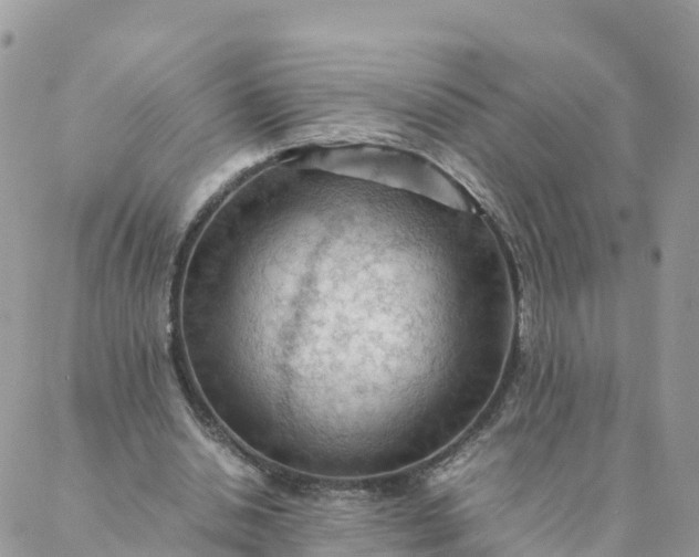 X0000087310438200705041653