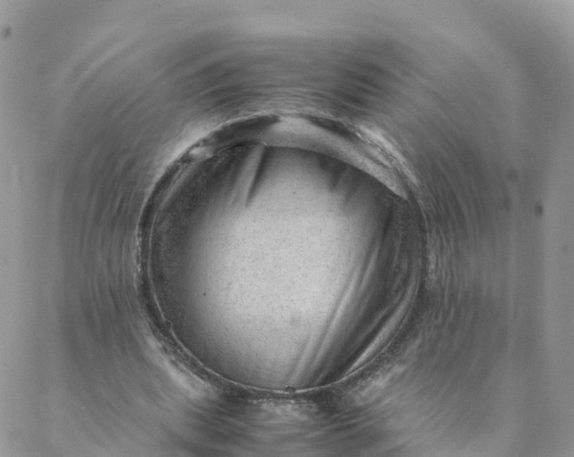 X0000087310439200705041653