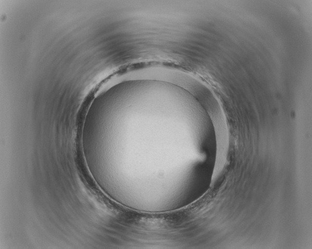 X0000087310440200705041653