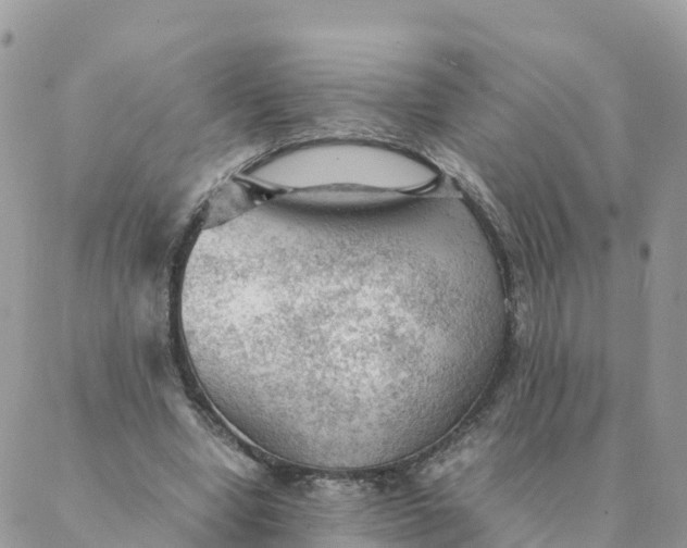 X0000087310442200705041653