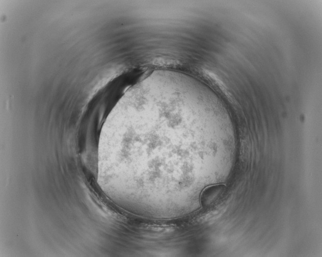 X0000087310443200705041653