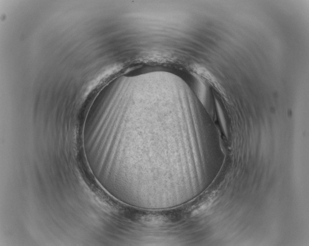 X0000087310444200705041653