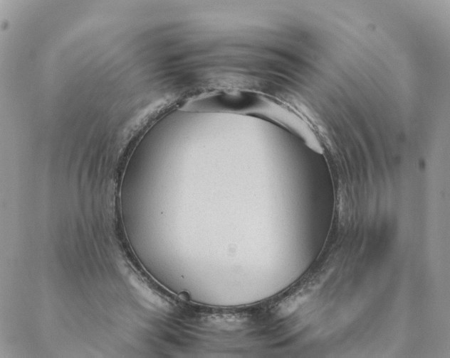 X0000087310445200705041653