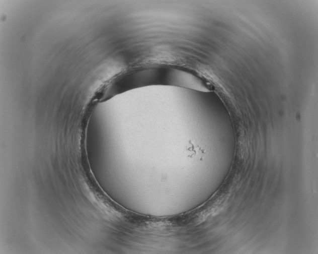 X0000087310446200705041653