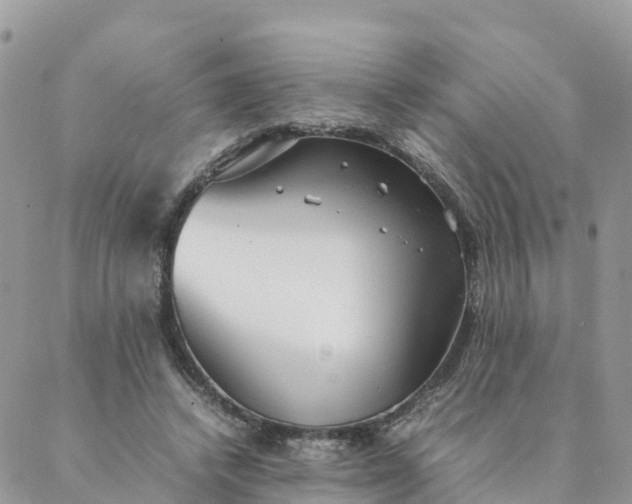 X0000087310448200705041653