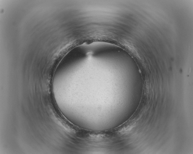 X0000087310450200705041653