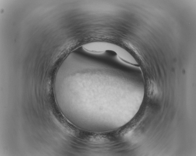 X0000087310451200705041653