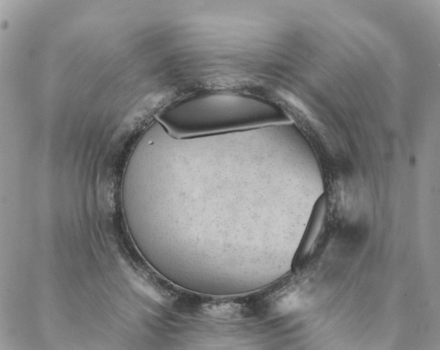 X0000087310452200705041653