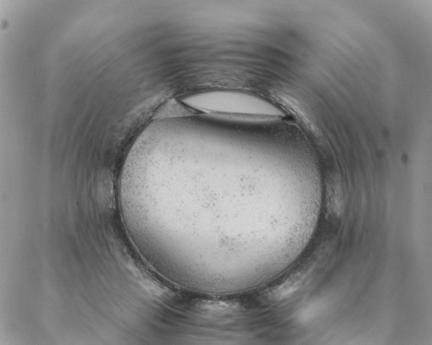 X0000087310453200705041653