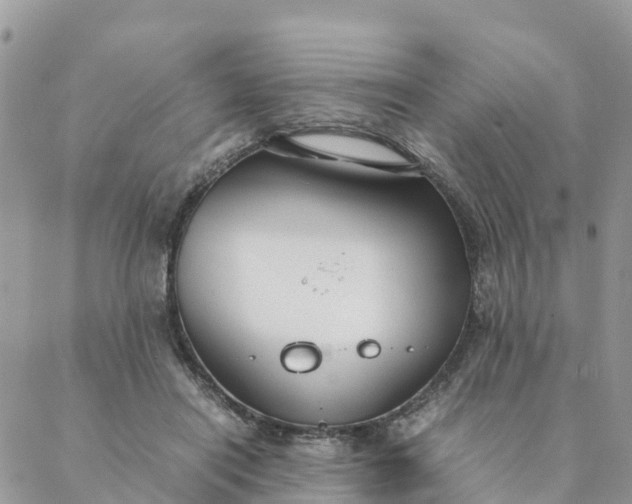 X0000087310454200705041653