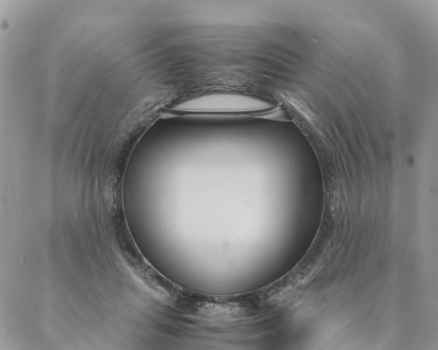 X0000087310455200705041653