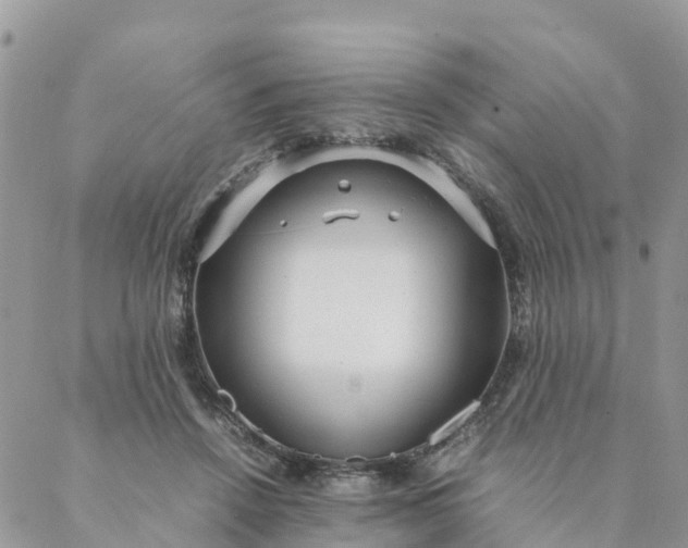 X0000087310456200705041653