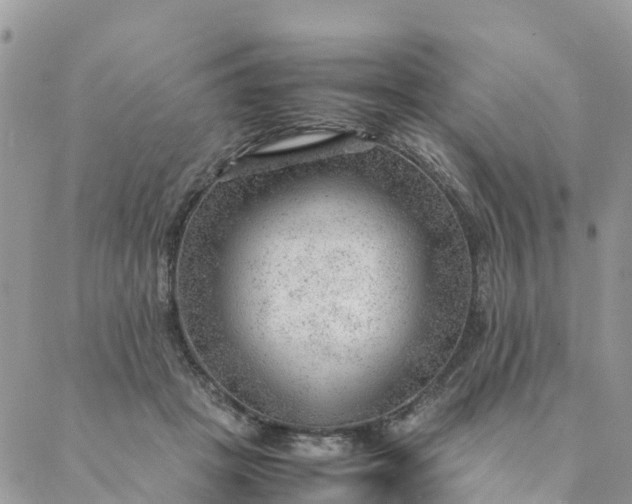 X0000087310457200705041653