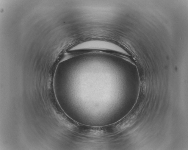 X0000087310458200705041653