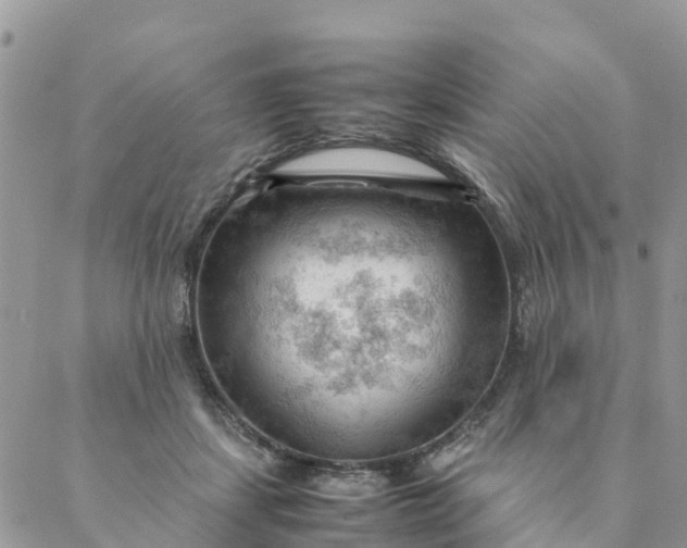 X0000087310459200705041654