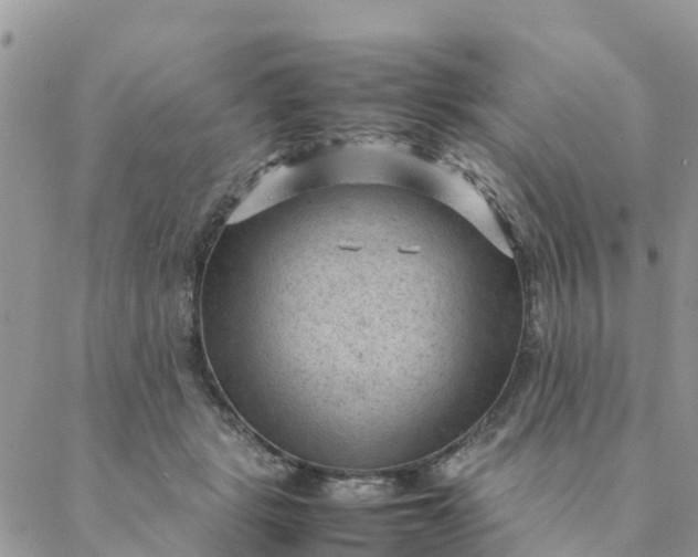 X0000087310461200705041654