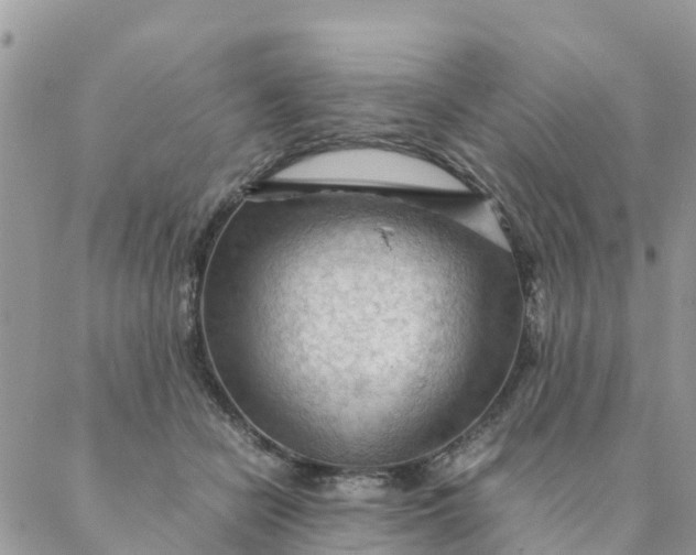 X0000087310462200705041654