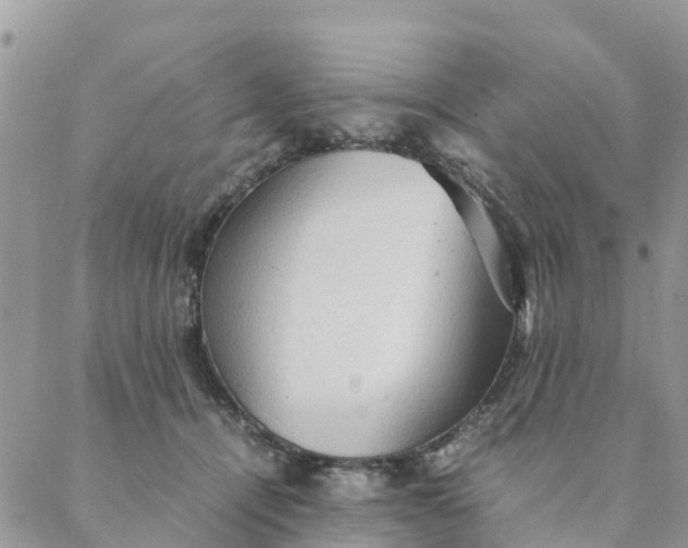 X0000087310464200705041654