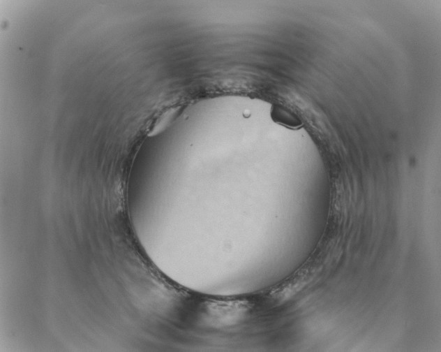 X0000087310465200705041654