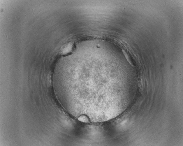 X0000087310466200705041654