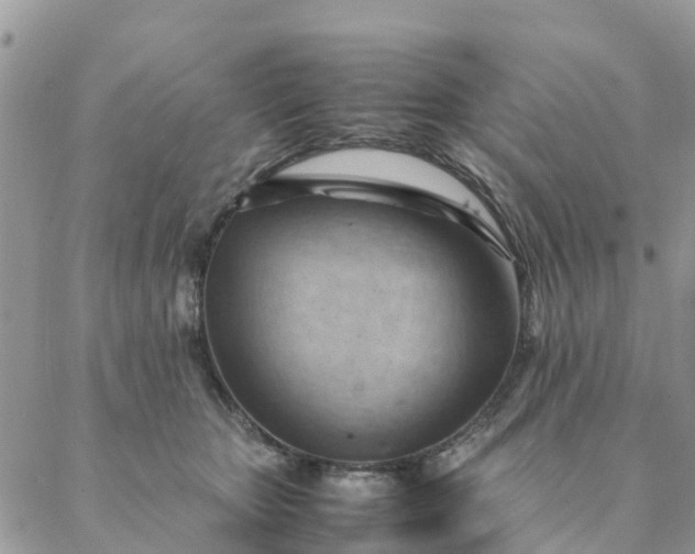 X0000087310467200705041654