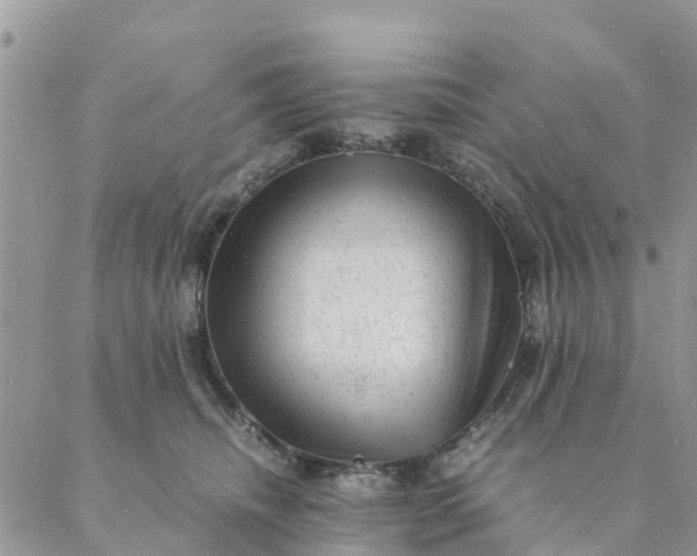 X0000087310468200705041654