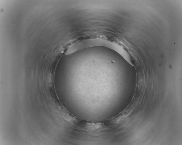 X0000087310469200705041654