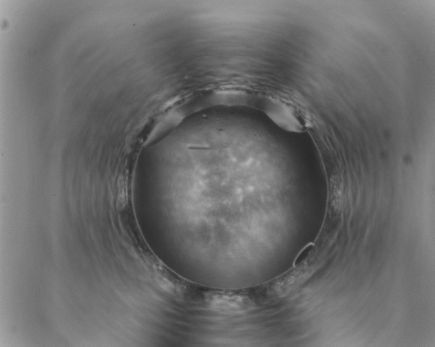 X0000087310471200705041654