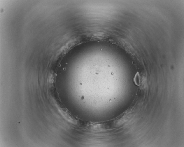 X0000087310472200705041654