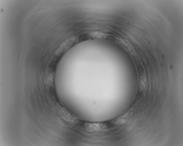 X0000087310473200705041654