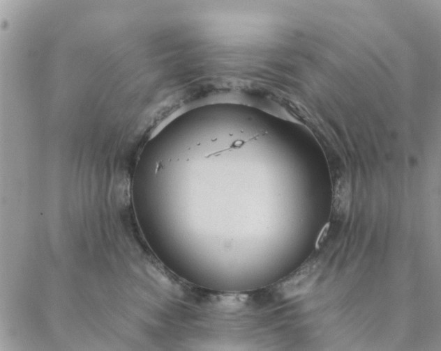 X0000087310474200705041654