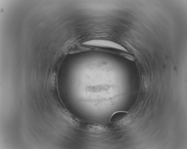 X0000087310475200705041654