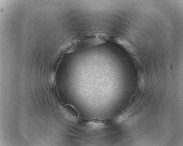 X0000087310477200705041654