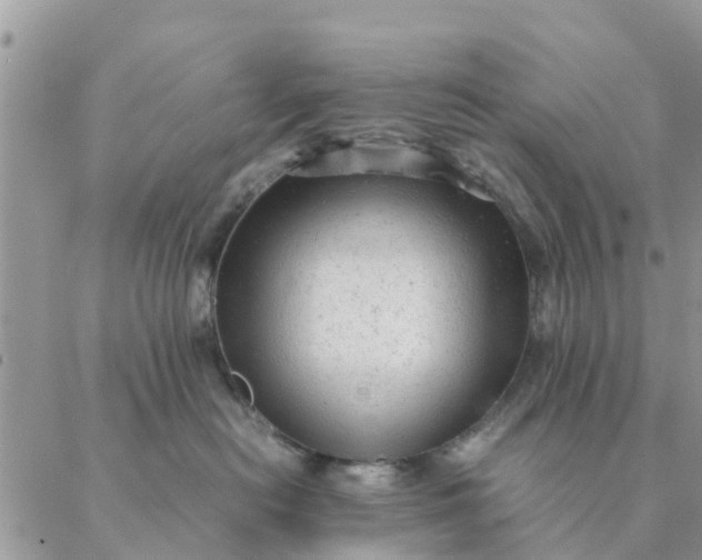 X0000087310478200705041654