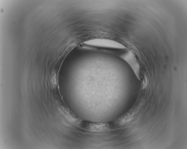 X0000087310479200705041654