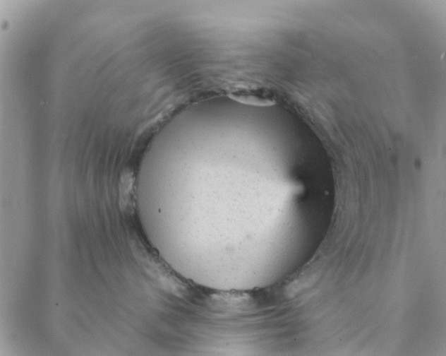 X0000087310480200705041654