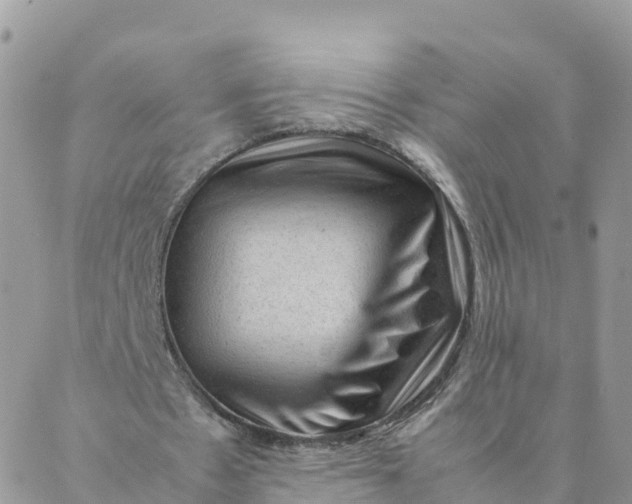 X0000087310481200705041653