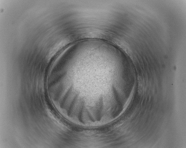 X0000087310482200705041653