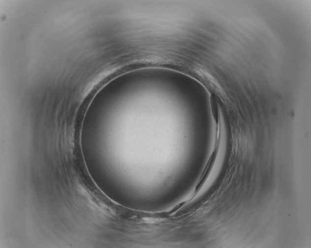 X0000087310484200705041653